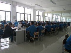 实训教学