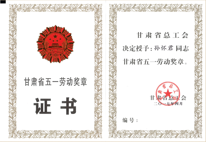2017年甘肃省五一劳动奖.png